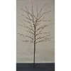Hi-Line Gifts 40" Brown and Orange Tree with 112 Rice Lights -Creative Sales Shop Belk