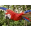 Hi-Line Gifts 17.5" Red and Blue Scarlet Parrot Flying Outdoor Statue -Creative Sales Shop Belk 119