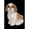 Hi-Line Gifts 11" Brown and White Sitting Shih Tzu Puppy Outdoor Garden Statue
