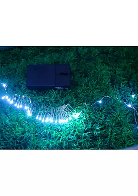 Hi-Line Gifts 36 White Battery Operated LED String Lights - 9 ft (Pack of 2) 3 Hi-Line Gifts 36 White Battery Operated LED String Lights - 9 ft (Pack of 2)