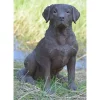Hi-Line Gifts 21.25" Brown Sitting Labrador Retriever Dog Outdoor Garden Statue 1 Hi-Line Gifts 21.25" Brown Sitting Labrador Retriever Dog Outdoor Garden Statue -Creative Sales Shop Belk 232