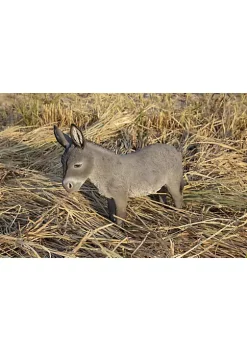 Hi-Line Gifts 18.50" Cute Gray and Brown Sitting Donkey Statue -Creative Sales Shop Belk 271