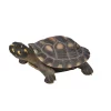 Hi-Line Gifts 17.5" Gray and Yellow Spotted Turtle Outdoor Garden Statue 1 Hi-Line Gifts 17.5" Gray and Yellow Spotted Turtle Outdoor Garden Statue -Creative Sales Shop Belk 275