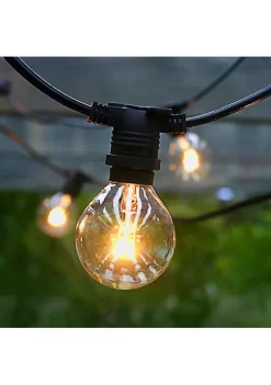 Hi-Line Gifts 29' Indoor and Outdoor 25 Bulb LED String Lights