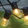 Hi-Line Gifts 21' Indoor and Outdoor 10 Bulb LED String Lights