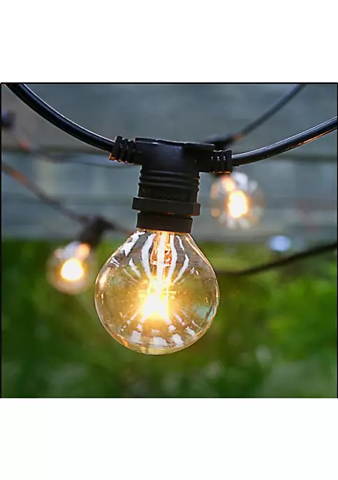 Hi-Line Gifts 28-Count Clear Edison Bulb Light Set 29ft Black Wire 4 Hi-Line Gifts 28-Count Clear Edison Bulb Light Set 29ft Black Wire - Image 2