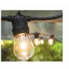 Hi-Line Gifts 12-Count Clear Edison Bulb Light Set 21ft Black Wire