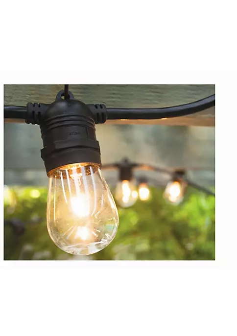 Hi-Line Gifts 12-Count Clear Edison Bulb Light Set 21ft Black Wire 3 Hi-Line Gifts 12-Count Clear Edison Bulb Light Set 21ft Black Wire - Image 2