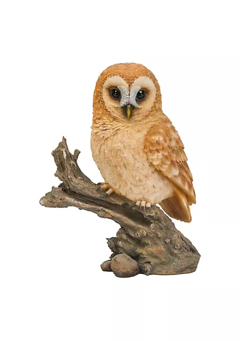 Hi-Line Gifts 12.50" Tan Brown and Black Owl on Stump Outdoor Garden Statue 7 Hi-Line Gifts 12.50" Tan Brown and Black Owl on Stump Outdoor Garden Statue - Image 5