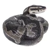 Hi-Line Gifts 7.75" Black and Brown Regius Ball Python Outdoor Statue 2 Hi-Line Gifts 7.75" Black and Brown Regius Ball Python Outdoor Statue -Creative Sales Shop Belk 329