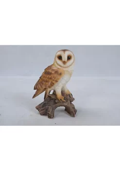 Hi-Line Gifts 7.25" Brown and White Barn Owl on Stump Outdoor Garden Statue