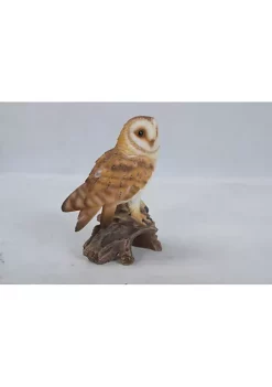 Hi-Line Gifts 7.25" Brown and White Barn Owl on Stump Outdoor Garden Statue -Creative Sales Shop Belk 382