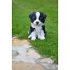 Hi-Line Gifts 6.75" White and Black Border Collie Puppy Figurine -Creative Sales Shop Belk 398