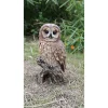 Hi-Line Gifts 12.25" Brown Owl on Stump Outdoor Garden Statue 1 Hi-Line Gifts 12.25" Brown Owl on Stump Outdoor Garden Statue -Creative Sales Shop Belk 45