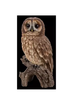 Hi-Line Gifts 9.75" Green and Blue Canadian Gnome Smoking Figurine -Creative Sales Shop Belk 47