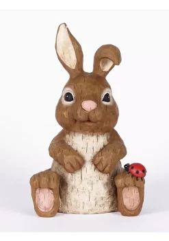 Hi-Line Gifts 12" Brown and Red Rabbit Sitting with Ladybug Garden Statue
