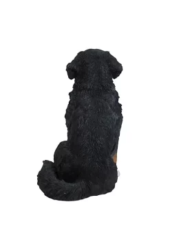 Hi-Line Gifts 21.50" Bernese Mountain Dog Outdoor Garden Statue -Creative Sales Shop Belk 67